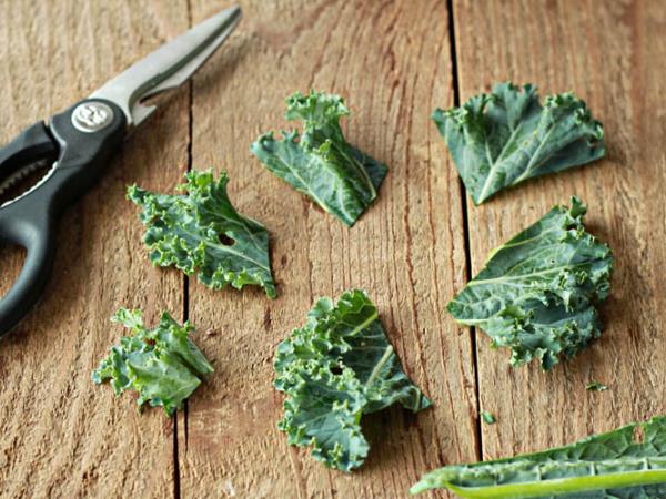 Kako narediti ohrovtov čips